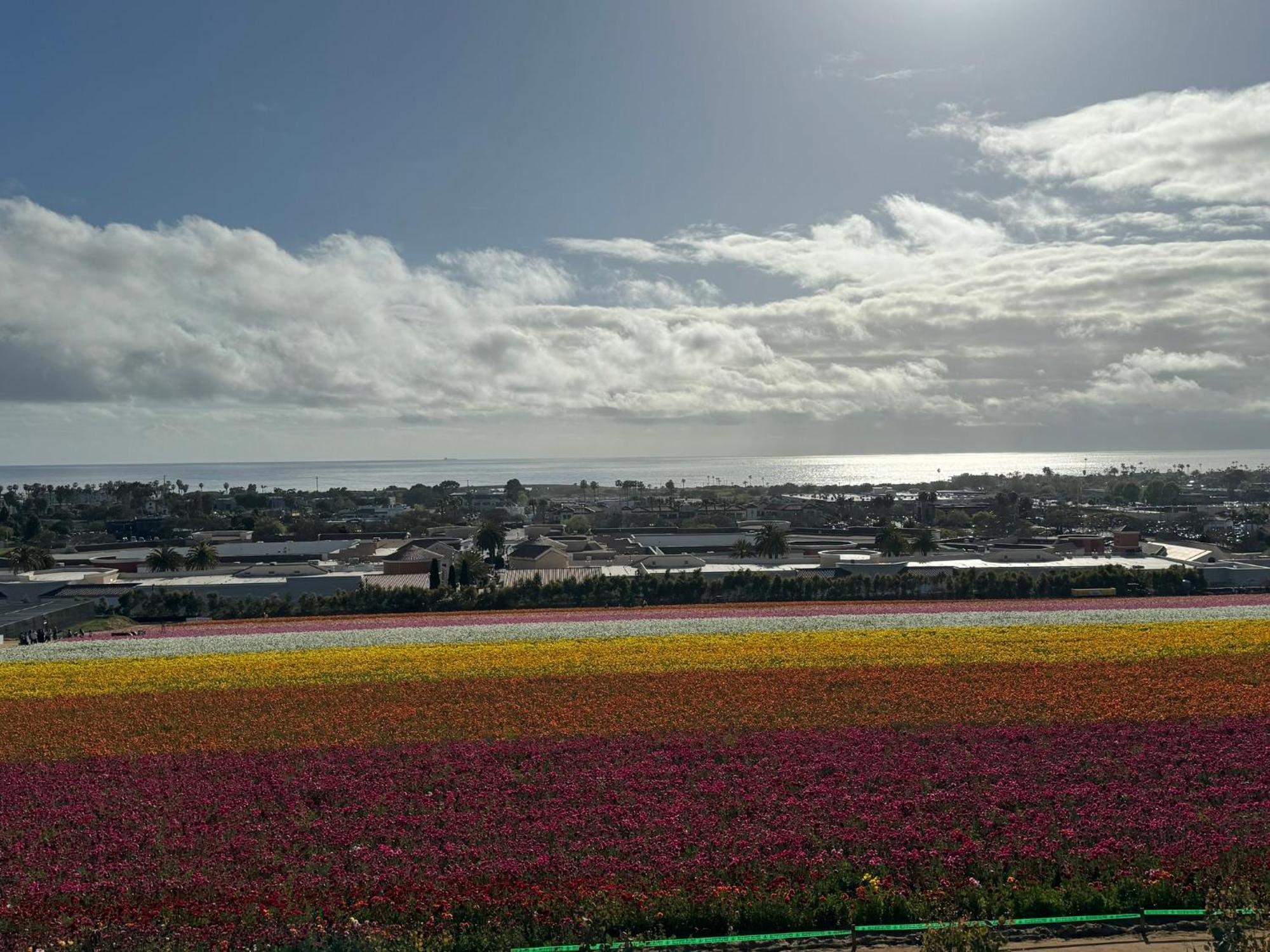 Holiday Inn Express Hotel & Suites Carlsbad Beach By Ihg Екстер'єр фото